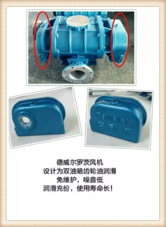 羅茨風(fēng)機部件圖四 羅茨風(fēng)機部件圖四